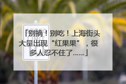 别摘！别吃！上海街头大量出现“红果果”，很多人忍不住了……