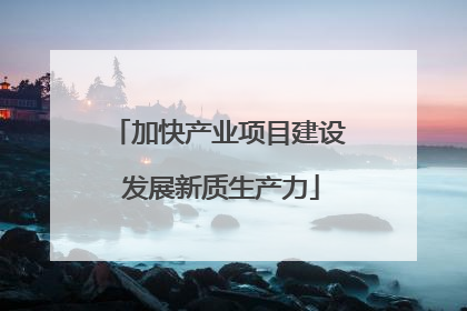 加快产业项目建设 发展新质生产力