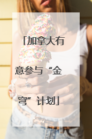 加拿大有意参与“金穹”计划