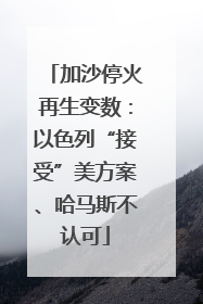 加沙停火再生变数：以色列“接受”美方案、哈马斯不认可