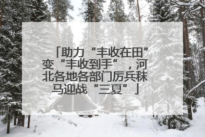 助力“丰收在田”变“丰收到手”，河北各地各部门厉兵秣马迎战“三夏”