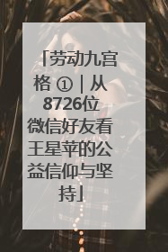 劳动九宫格 ①｜从8726位微信好友看王星苹的公益信仰与坚持