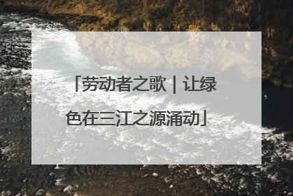 劳动者之歌｜让绿色在三江之源涌动