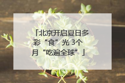 北京开启夏日多彩“食”光 3个月“吃遍全球”
