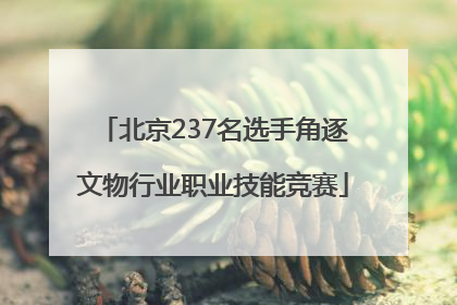 北京237名选手角逐文物行业职业技能竞赛