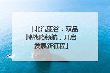北汽蓝谷：双品牌战略领航，开启发展新征程