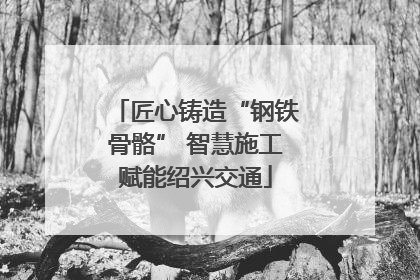 匠心铸造“钢铁骨骼” 智慧施工赋能绍兴交通