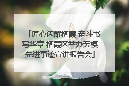 匠心闪耀栖霞 奋斗书写华章 栖霞区举办劳模先进事迹宣讲报告会