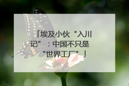 埃及小伙“入川记”：中国不只是“世界工厂”