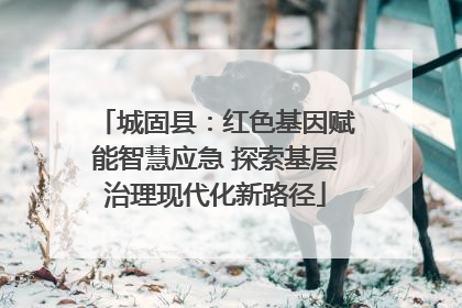 城固县：红色基因赋能智慧应急 探索基层治理现代化新路径
