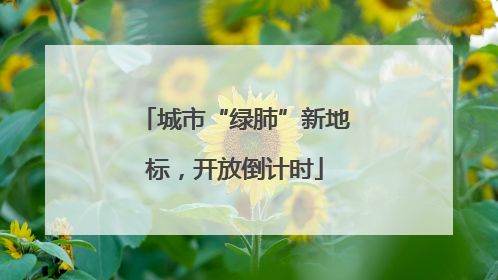 城市“绿肺”新地标，开放倒计时