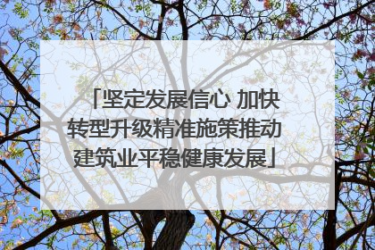 坚定发展信心 加快转型升级精准施策推动建筑业平稳健康发展