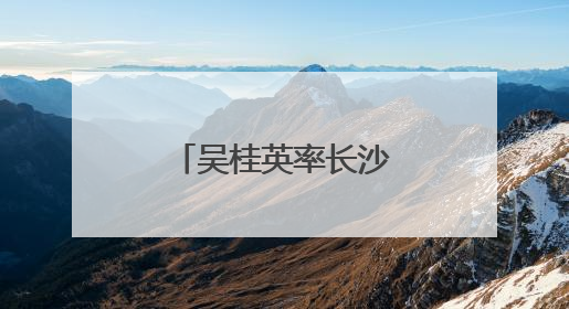 吴桂英率长沙市代表团访问沙特阿拉伯
