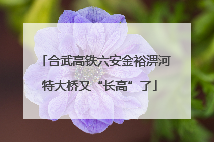 合武高铁六安金裕淠河特大桥又“长高”了