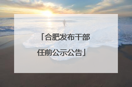 合肥发布干部任前公示公告