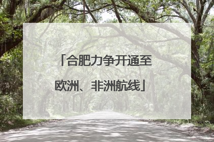 合肥力争开通至欧洲、非洲航线
