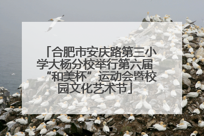 合肥市安庆路第三小学大杨分校举行第六届“和美杯”运动会暨校园文化艺术节