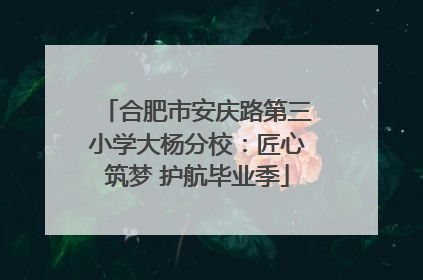 合肥市安庆路第三小学大杨分校：匠心筑梦 护航毕业季