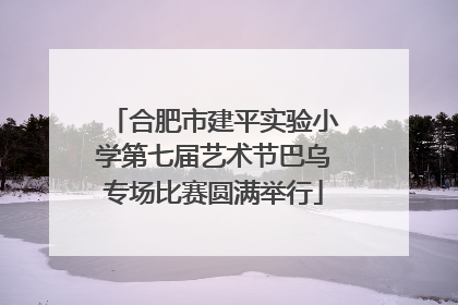 合肥市建平实验小学第七届艺术节巴乌专场比赛圆满举行