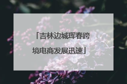 吉林边城珲春跨境电商发展迅速