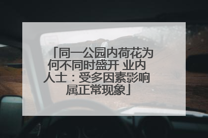 同一公园内荷花为何不同时盛开 业内人士：受多因素影响 属正常现象