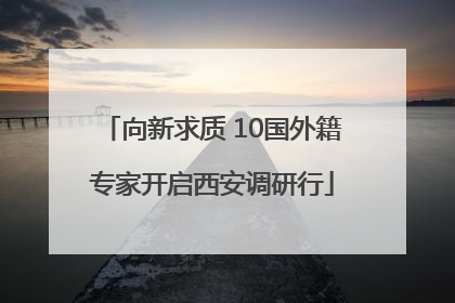 向新求质 10国外籍专家开启西安调研行