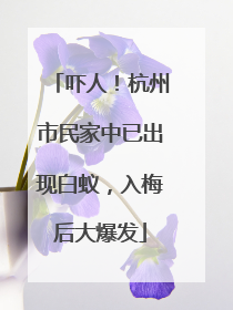 吓人！杭州市民家中已出现白蚁，入梅后大爆发