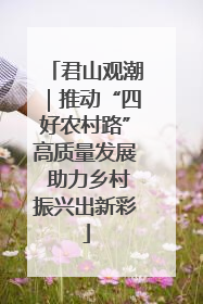 君山观潮｜推动“四好农村路”高质量发展 助力乡村振兴出新彩