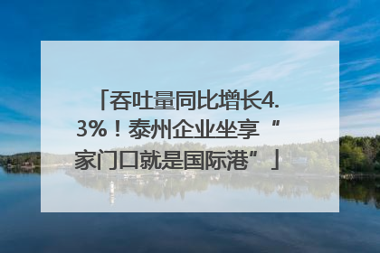 吞吐量同比增长4.3%！泰州企业坐享“家门口就是国际港”
