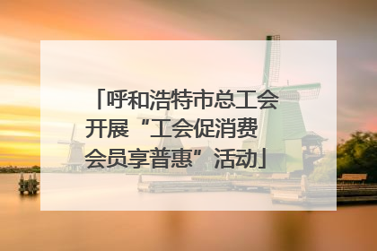 呼和浩特市总工会开展“工会促消费 会员享普惠”活动