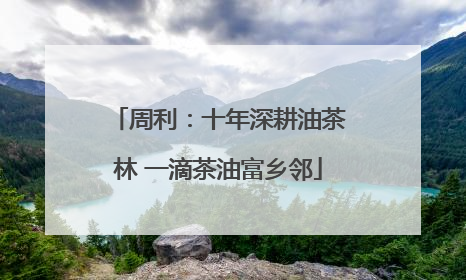 周利：十年深耕油茶林 一滴茶油富乡邻