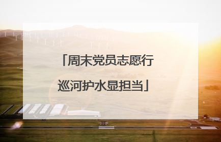 周末党员志愿行 巡河护水显担当