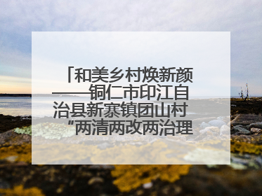 和美乡村焕新颜——铜仁市印江自治县新寨镇团山村“两清两改两治理”见闻