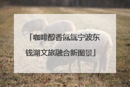 咖啡醇香氤氲宁波东钱湖文旅融合新图景