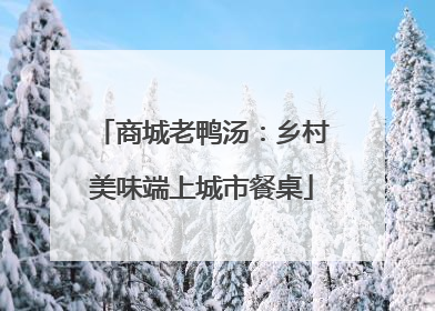 商城老鸭汤：乡村美味端上城市餐桌