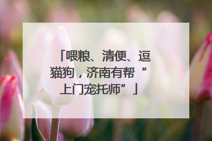 喂粮、清便、逗猫狗，济南有帮“上门宠托师”