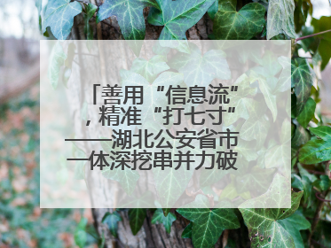 善用“信息流”，精准“打七寸”——湖北公安省市一体深挖串并力破民生案