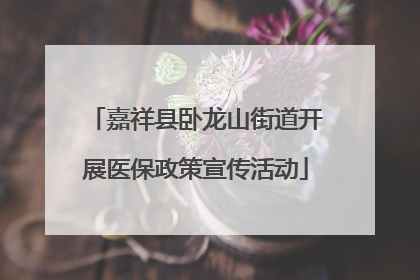 嘉祥县卧龙山街道开展医保政策宣传活动