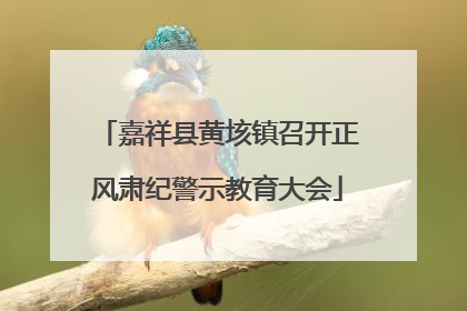 嘉祥县黄垓镇召开正风肃纪警示教育大会