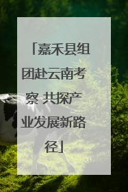 嘉禾县组团赴云南考察 共探产业发展新路径
