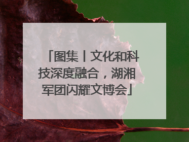 图集丨文化和科技深度融合，湖湘军团闪耀文博会