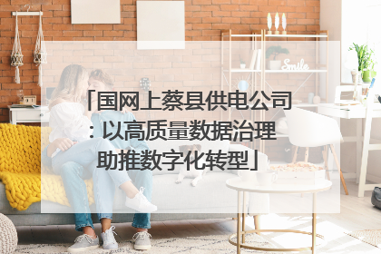 国网上蔡县供电公司：以高质量数据治理 助推数字化转型