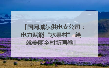 国网城东供电支公司：电力赋能“水果村” 绘就美丽乡村新画卷