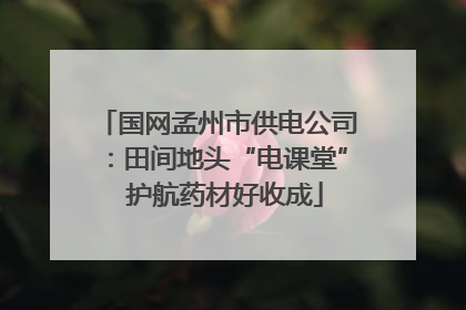 国网孟州市供电公司：田间地头“电课堂”  护航药材好收成