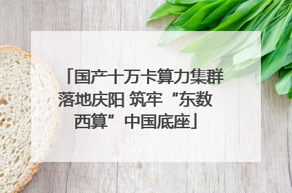 国产十万卡算力集群落地庆阳 筑牢“东数西算”中国底座