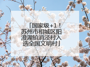 国家级+1！苏州市相城区阳澄湖镇消泾村入选全国文明村