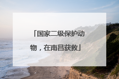 国家二级保护动物，在南昌获救