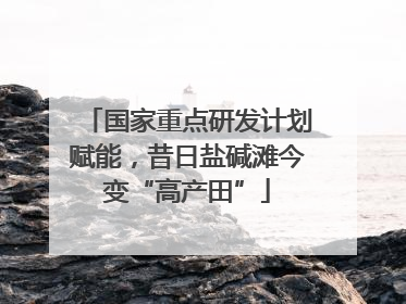 国家重点研发计划赋能，昔日盐碱滩今变“高产田”