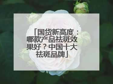 国货新高度：哪款产品祛斑效果好？中国十大祛斑品牌