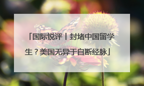 国际锐评丨封堵中国留学生？美国无异于自断经脉